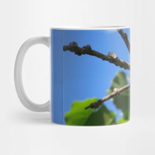 Eastern Wood-Pewee No.2 Mug